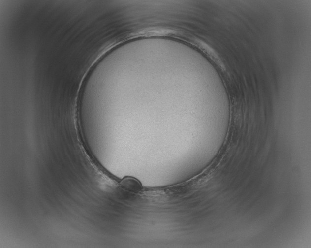 X0000073391186200608180955