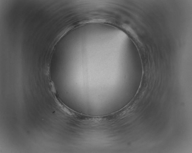 X0000073391193200608180955