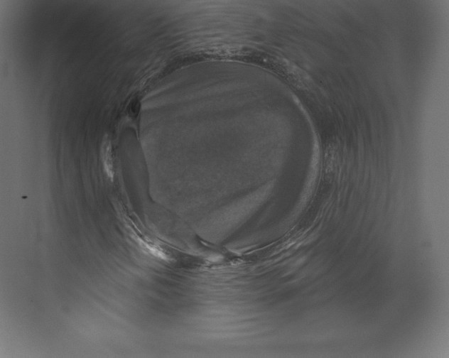 X0000073391202200608180954