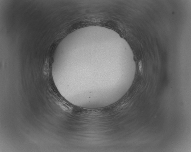 X0000073391203200608180954