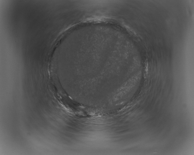 X0000073391206200608180954