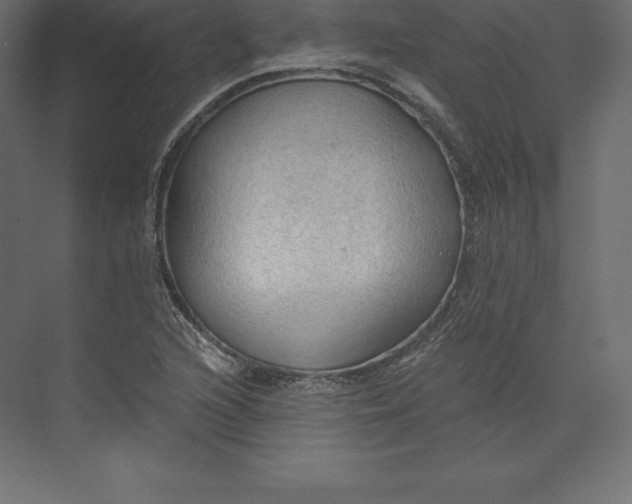 X0000073391216200608180955