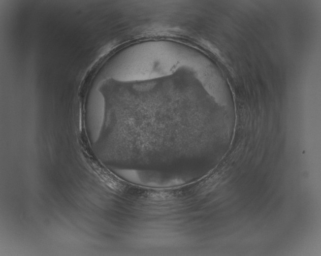 X0000073391219200608180955