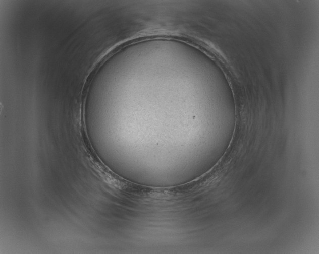 X0000073391220200608180955