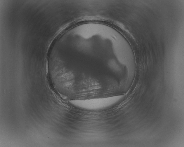 X0000073391221200608180955