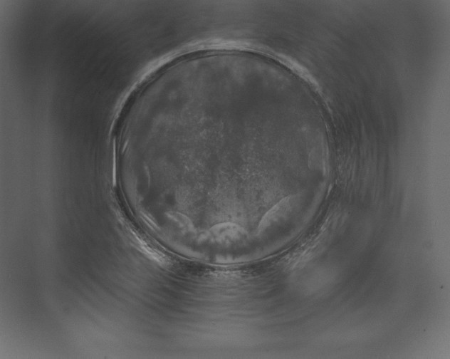 X0000073391223200608180955