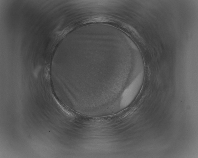 X0000073391225200608180955