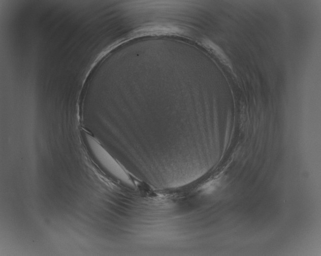 X0000073391226200608180955