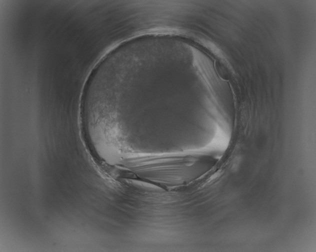 X0000073391229200608180955