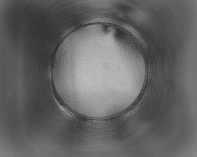 X0000073391241200608180955