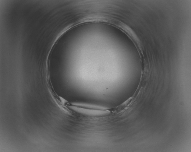 X0000073391242200608180955