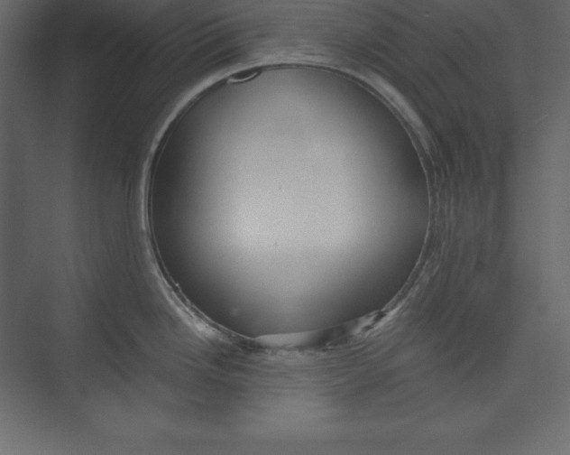 X0000073391246200608180955