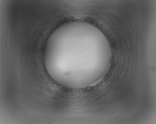 X0000073391249200608180954