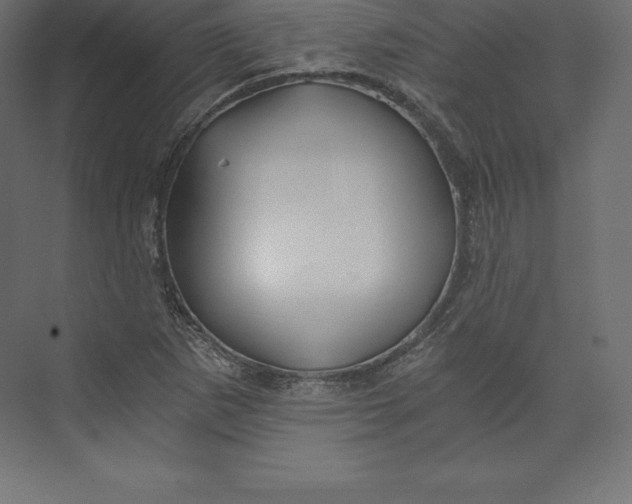X0000073391265200608180954