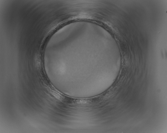 X0000073391266200608180954