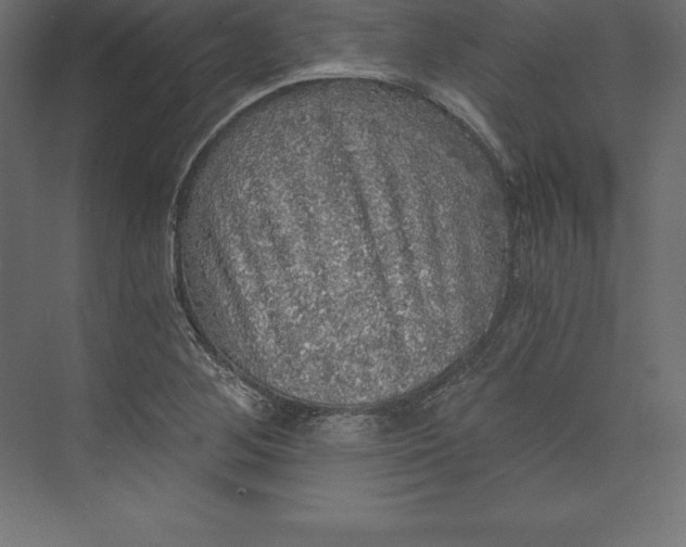 X0000073391268200608180954