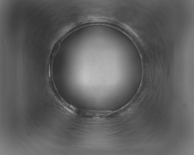 X0000073391269200608180954
