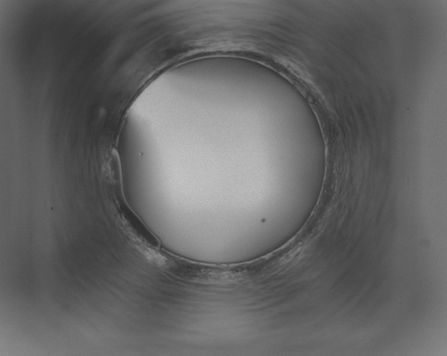 X0000073391273200608180954