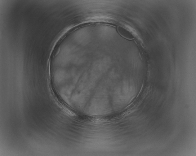 X0000073391275200608180954