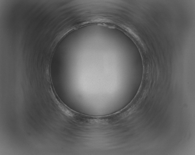 X0000073391281200608180954