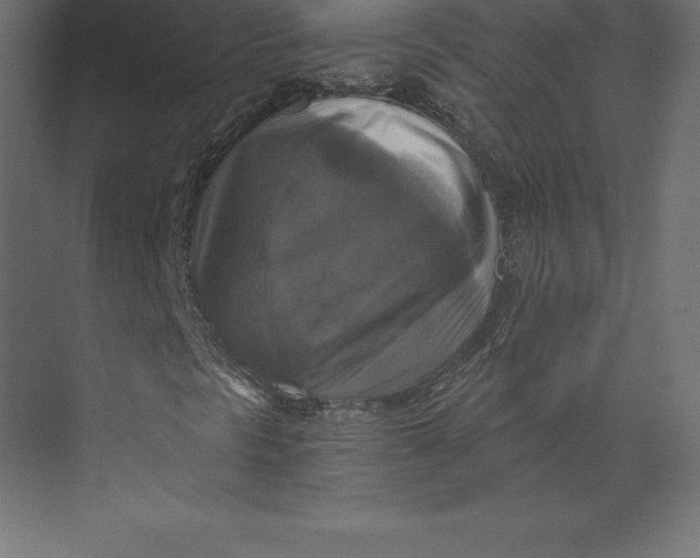 X0000073391297200608180953