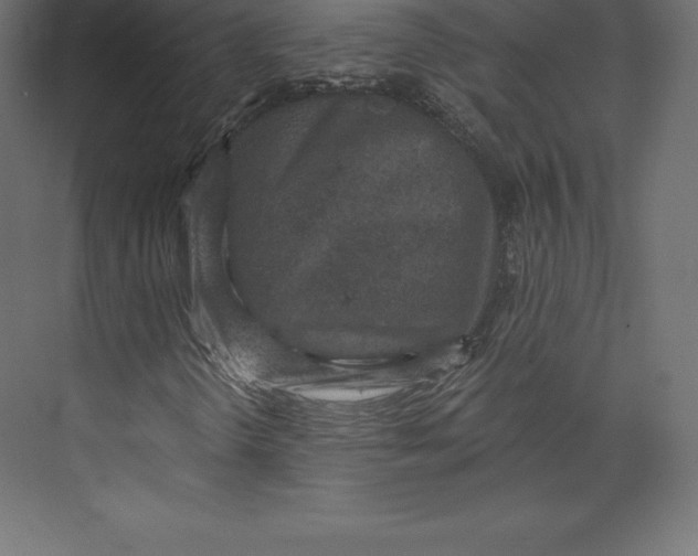 X0000073391298200608180953