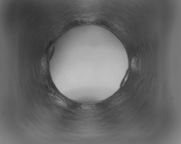 X0000073391299200608180953