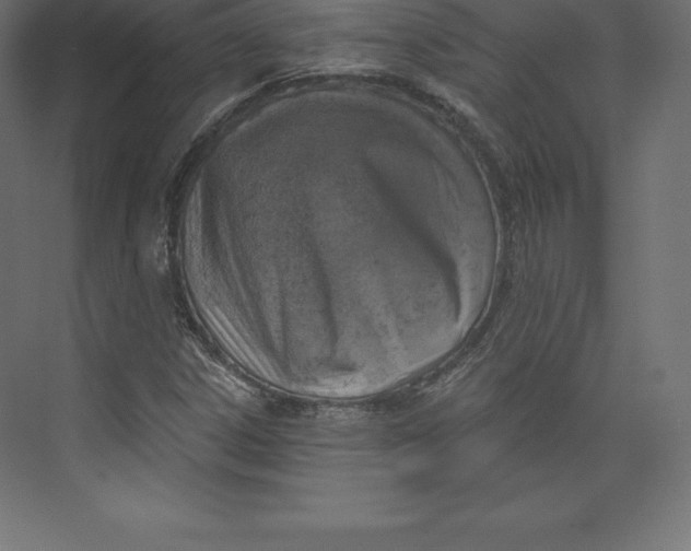 X0000073391306200608180953