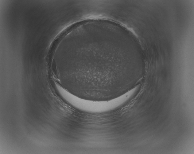 X0000073391311200608180953