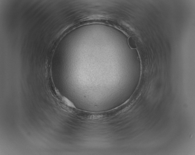 X0000073391313200608180953