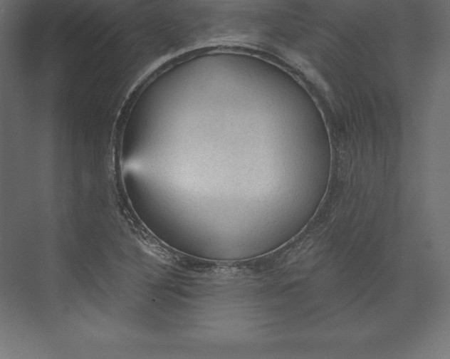 X0000073391316200608180953