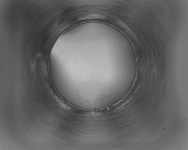X0000073391321200608180953