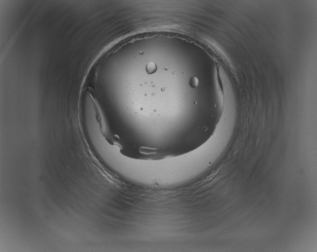 X0000073391324200608180953