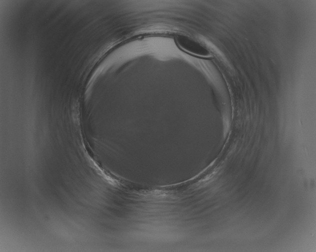 X0000073391329200608180953