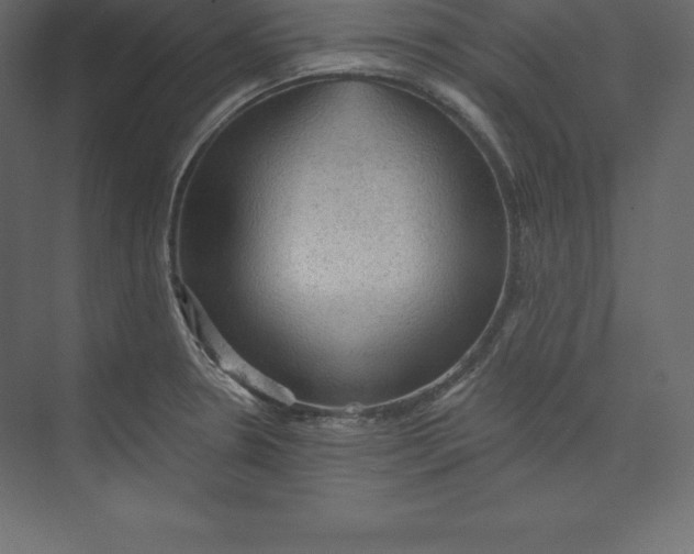 X0000073391330200608180953