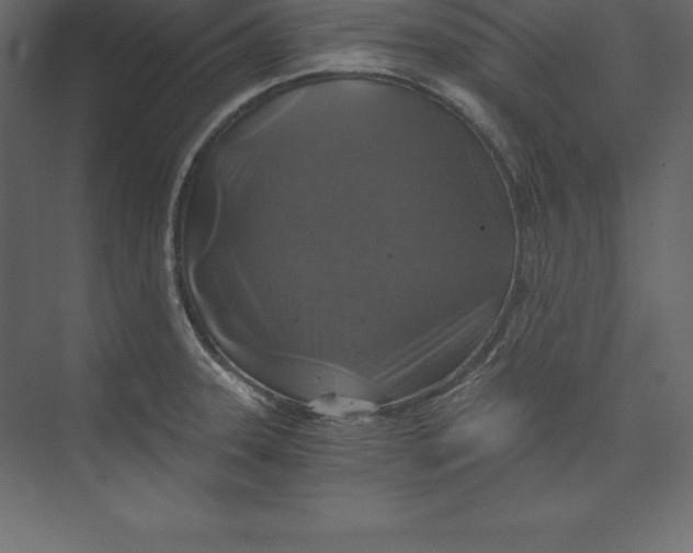 X0000073391331200608180953