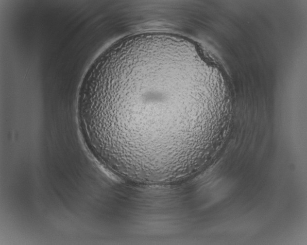 X0000073391333200608180953
