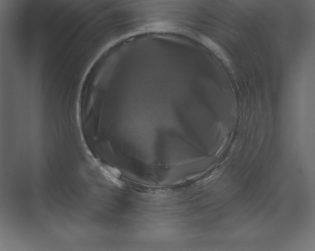 X0000073391334200608180953