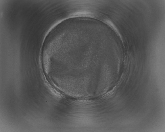 X0000073391336200608180953