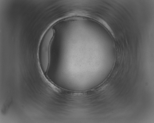 X0000073391339200608180953