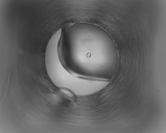 X0000073391346200608180953