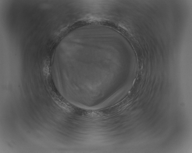 X0000073391348200608180953