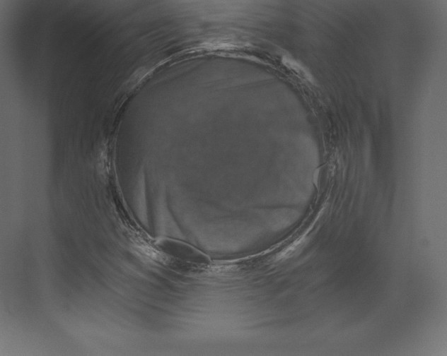 X0000073391353200608180953