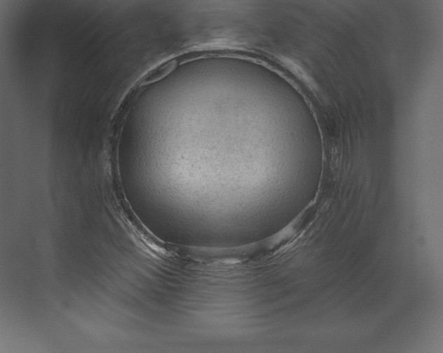 X0000073391356200608180952