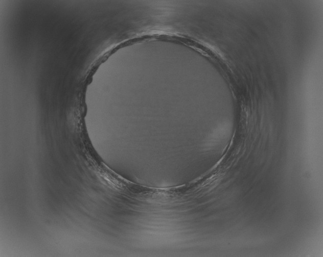 X0000073391359200608180952