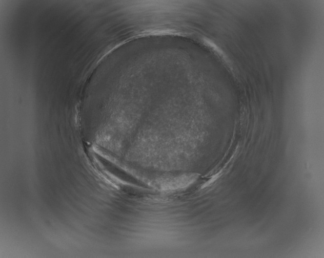 X0000073391361200608180952