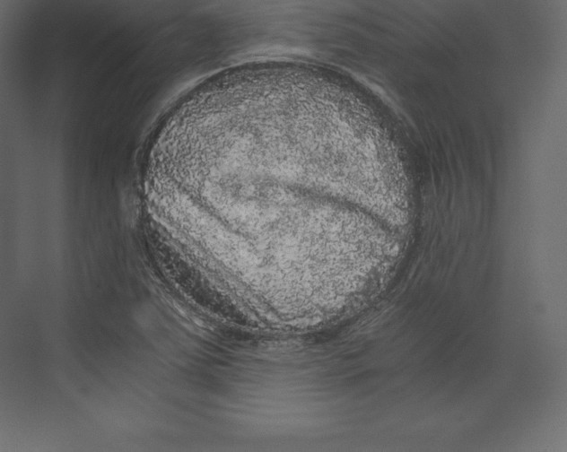 X0000073391363200608180952