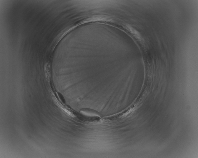 X0000073391369200608180952