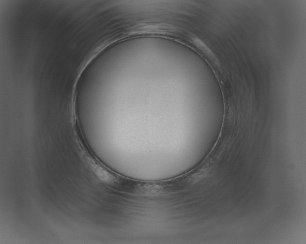 X0000073391370200608180952