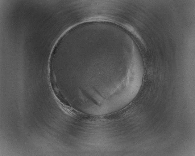 X0000073391372200608180952